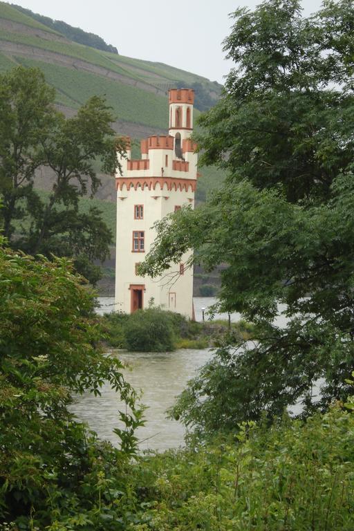 Hotel Gasthof Schuster Und Gaestehaus ฮูเดสไฮม์ แอม ไฮน์ ภายนอก รูปภาพ