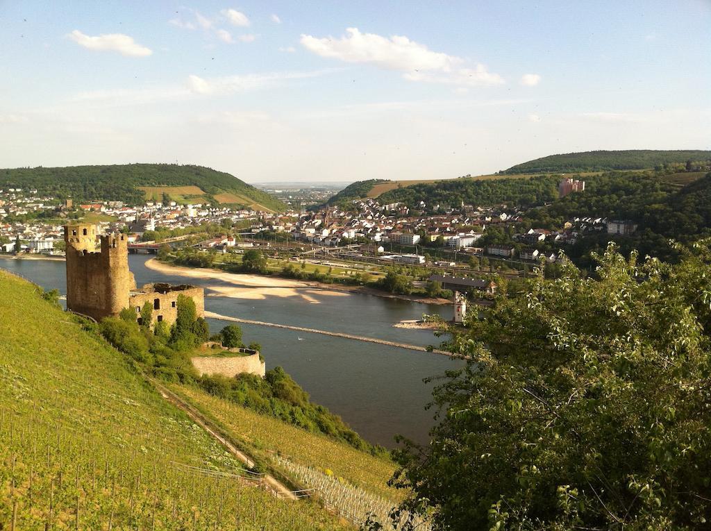 Hotel Gasthof Schuster Und Gaestehaus ฮูเดสไฮม์ แอม ไฮน์ ภายนอก รูปภาพ