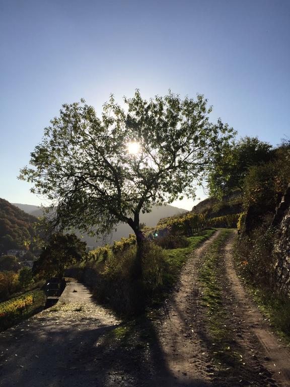 Hotel Gasthof Schuster Und Gaestehaus ฮูเดสไฮม์ แอม ไฮน์ ภายนอก รูปภาพ